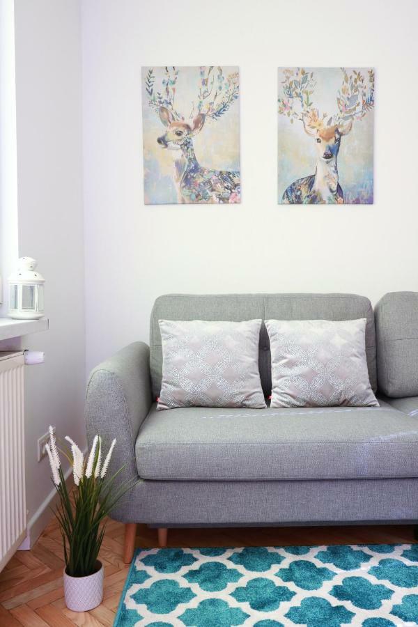 Chill & Explore By Cooee Apartment *